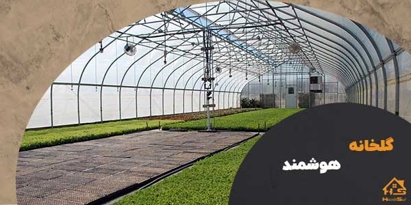 هوشمند سازی گلخانه | هوش سان
