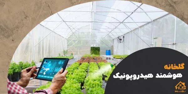 گلخانه هوشمند هیدروپونیک | هوش سان