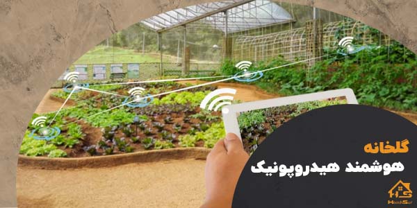 گلخانه های هوشمند هیدروپونیک | هوش سان